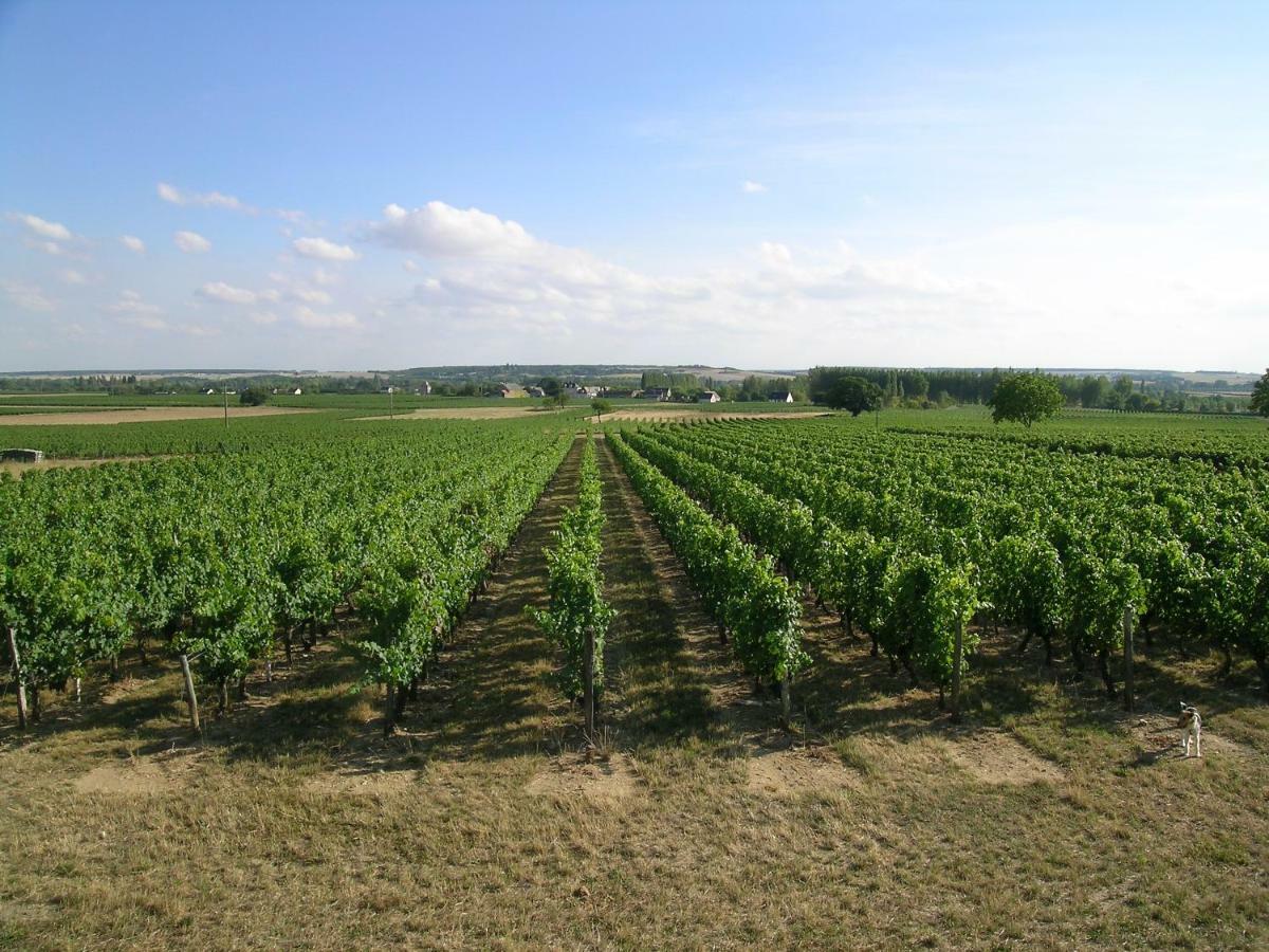 דירות La Riche Landreau מראה חיצוני תמונה